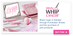 Help Whip Cancer - Banner Ad